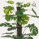 Monstera Deliciosa – Kunstpflanze – 120 cm von Green boutiQ