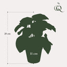 Künstliche Pflanze – Peperomia Argyreia – Wassermelone – 25 cm von Green boutiQ