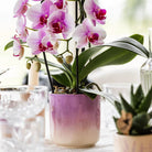 Kolibri Home | Gradience sierpot - Purple - Ø9cm by Kolibri Company