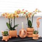 Hummingbird Home | Rollender Pfirsich-Blumentopf – pfirsichfarbener dekorativer Keramiktopf Ø9cm von Kolibri Company