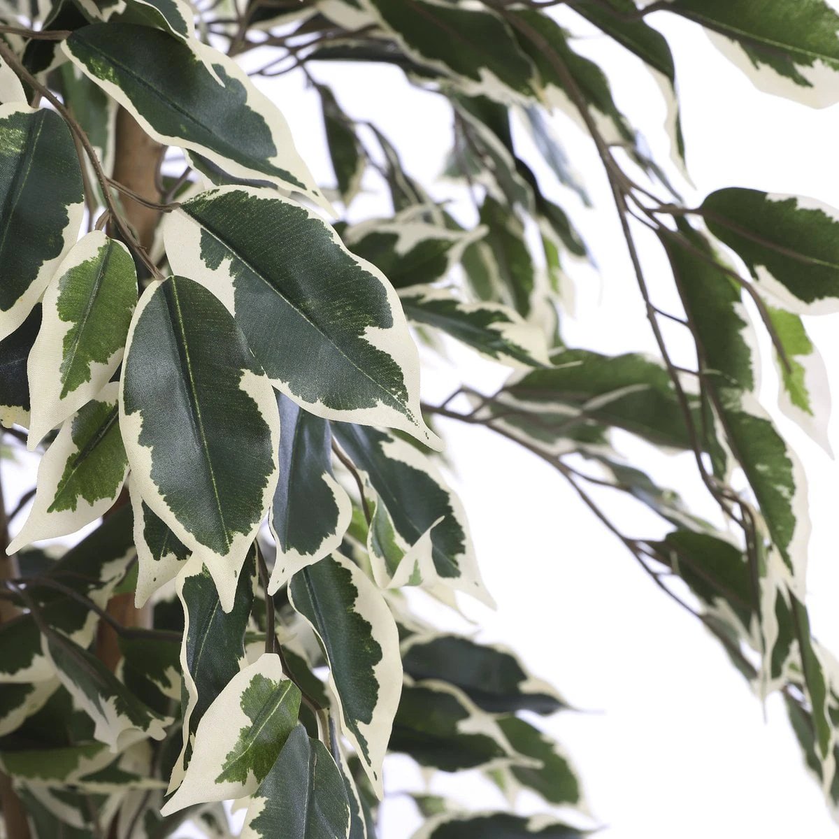 Artificial plant Ficus Green by Mica Decorations