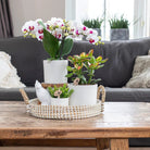 Kolibri Home | Simplicity flowerpot - ceramic decorative pot - white - 6 cm by Kolibri Company