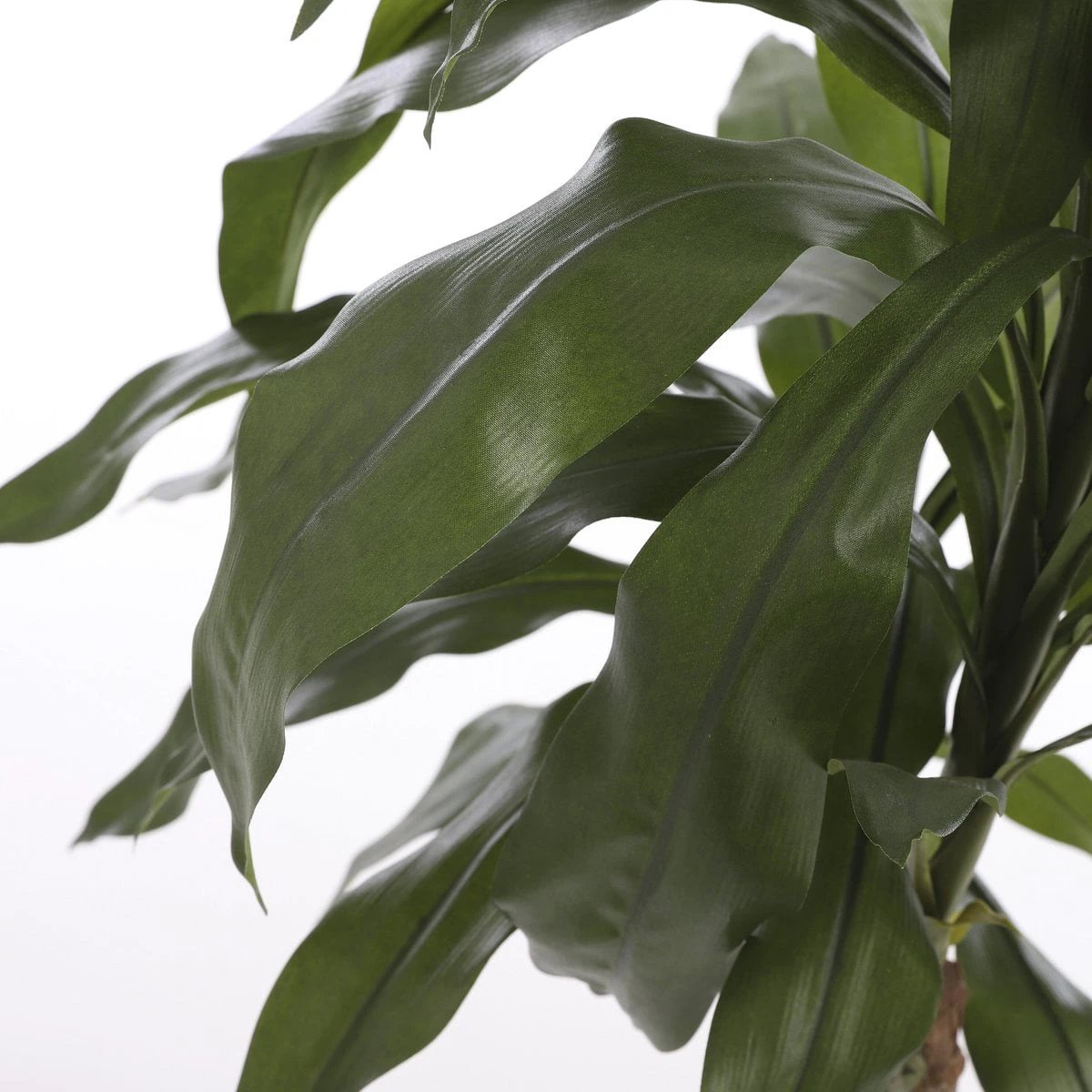 Artificial plant Dracaena Green by Mica Decorations