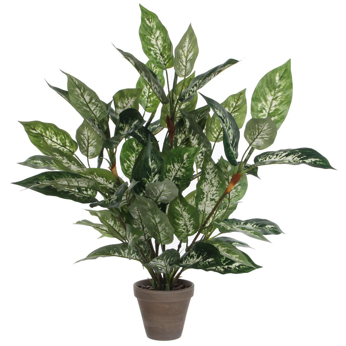Artificial plant Dieffenbachia Green by Mica Decorations