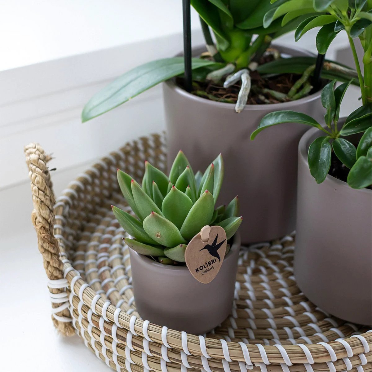 Hummingbird Home | Decorative bowl - White woven tray Ø30cm by Kolibri Company