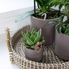 Hummingbird Home | Decorative bowl - White woven tray Ø30cm by Kolibri Company