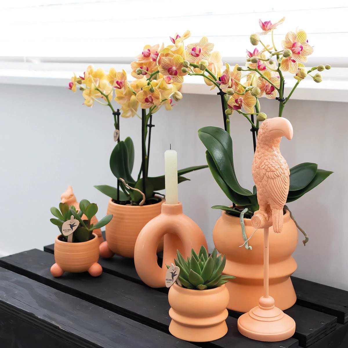 Hummingbird Home | Rolling peach flower pot - Peach colored ceramic decorative pot - Ø6cm by Kolibri Company