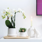 Kolibri Home | Ornament - Decoration Image Cockatoo - White by Kolibri Company