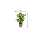 Artificial plant Dieffenbachia Green by Mica Decorations