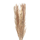 Trockenblumen 25x8x100 cm von Clayre & Eef.