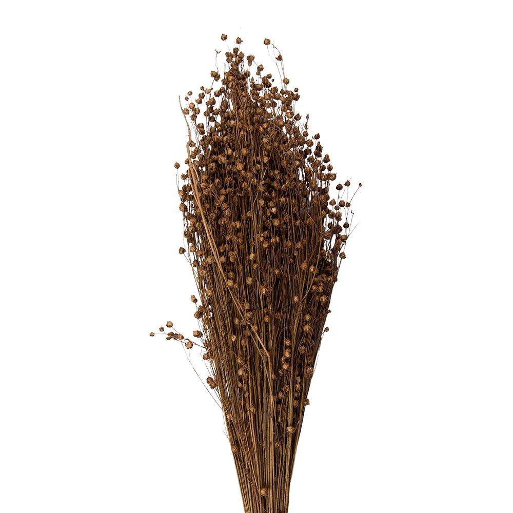 Droogbloemen 60 cm (100 gr) by Clayre & Eef.