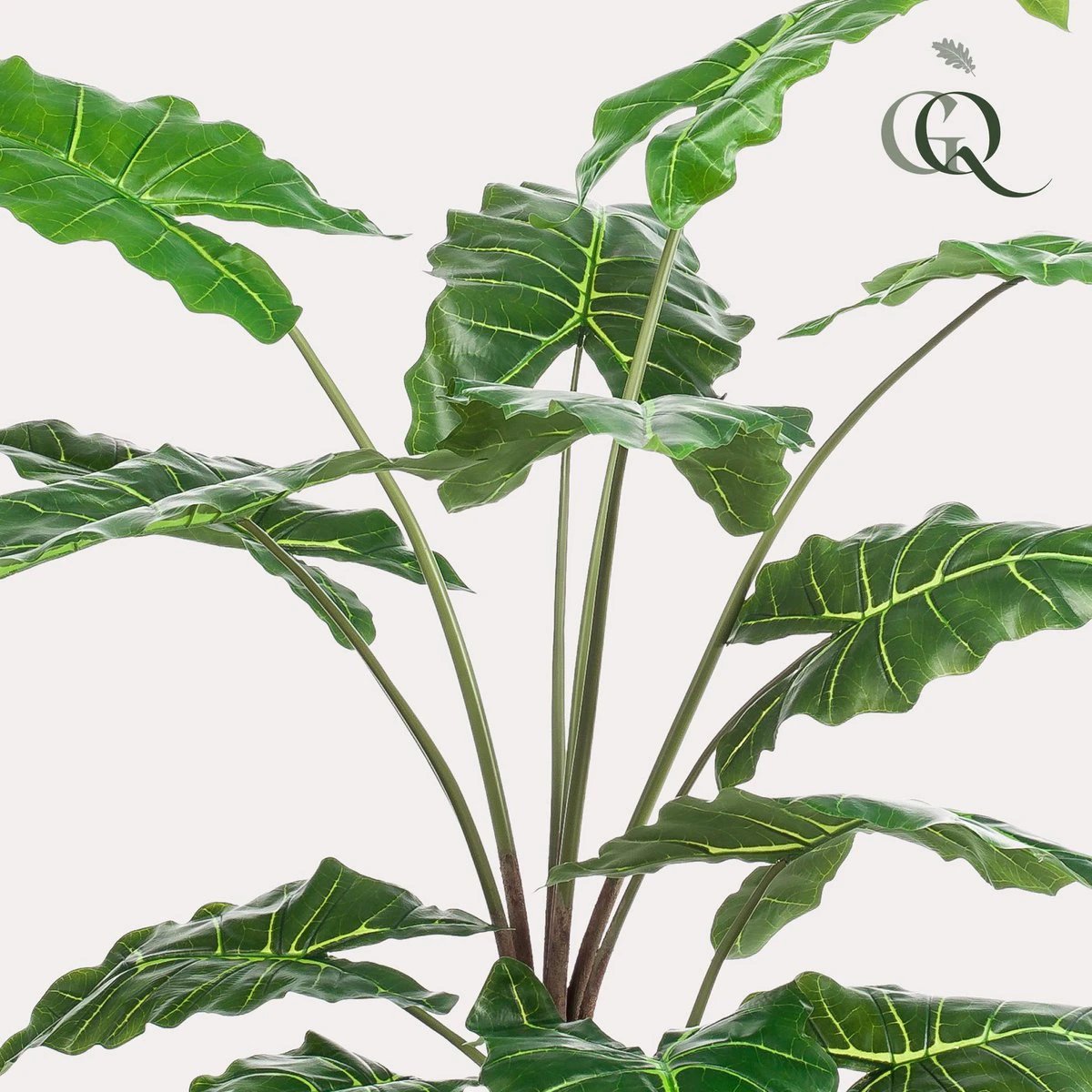 Art plant - Alocasia - Elephants ear - 150 cm by Green boutiQ