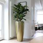 Plantenpot - Kentucky Gold by Vase The World