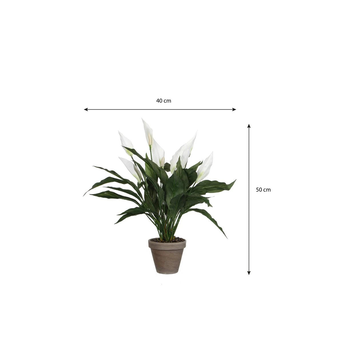 Artificial plant Spathiphyllum White by Mica Decorations