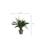 Artificial plant Spathiphyllum White by Mica Decorations