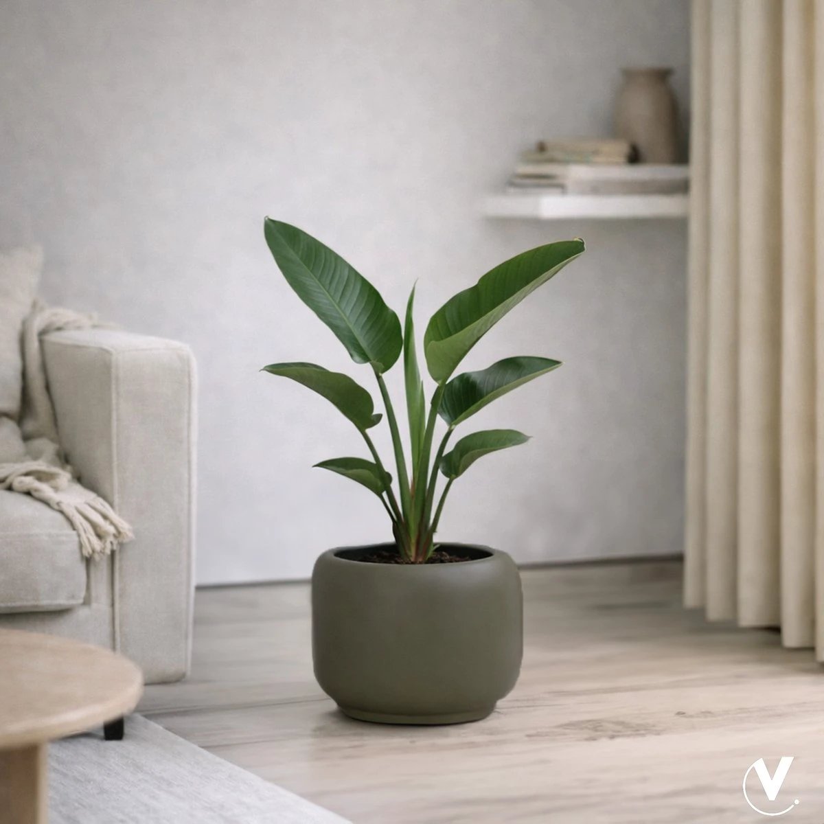 Plantenpot - Phuket taupe by Vase The World
