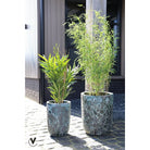 Plant pot - Fuji Relic Jade Set Ø36/26 x H45/35 cm (set of 2 pieces) by Vase The World