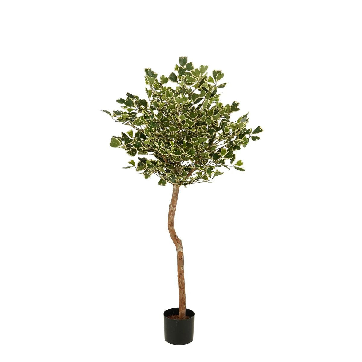Artificial plant Ficus Green by Mica Decorations