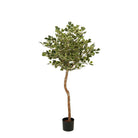 Artificial plant Ficus Green by Mica Decorations