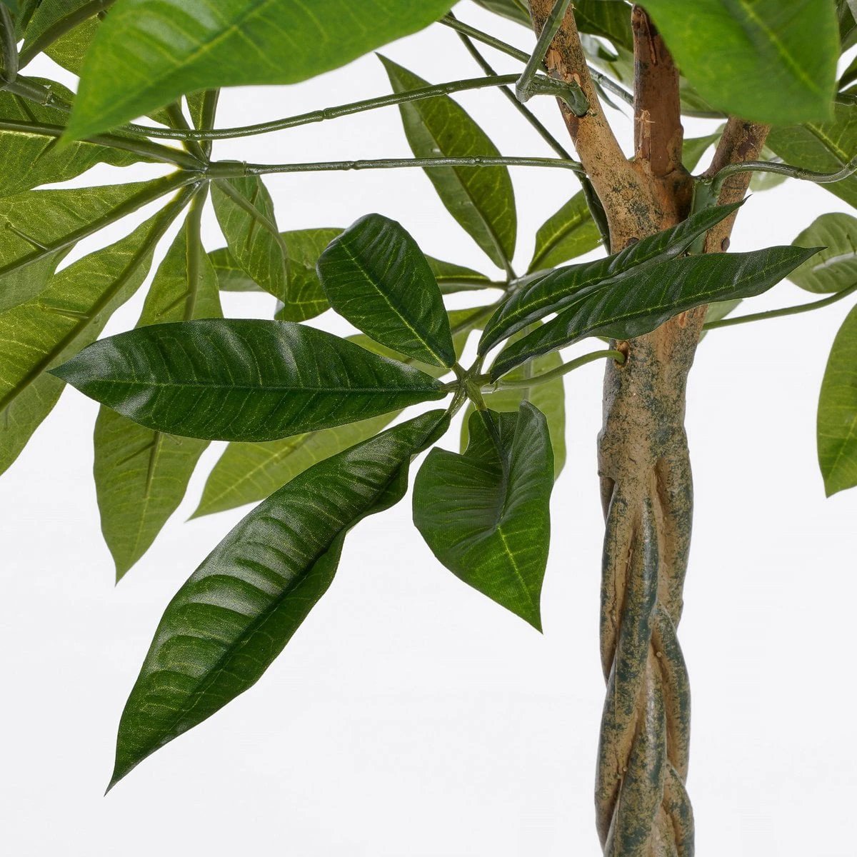 Artificial plant Pachira Green by Mica Decorations