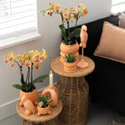 Hummingbird Home | Rolling peach flower pot - Peach colored ceramic decorative pot Ø9cm by Kolibri Company