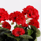 Artificial plant Geranium Red by Mica Decorations