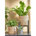 Plant stand Ascot Black by Mica Decorations