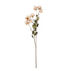 Artificial flower 120 cm Beige Plastic by Clayre & Eef.