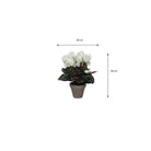 Artificial plant Cyclamen White by Mica Decorations