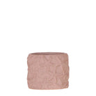 Kolibri Home | Star Fish sierpot - Sand - Ø6cm by Kolibri Company