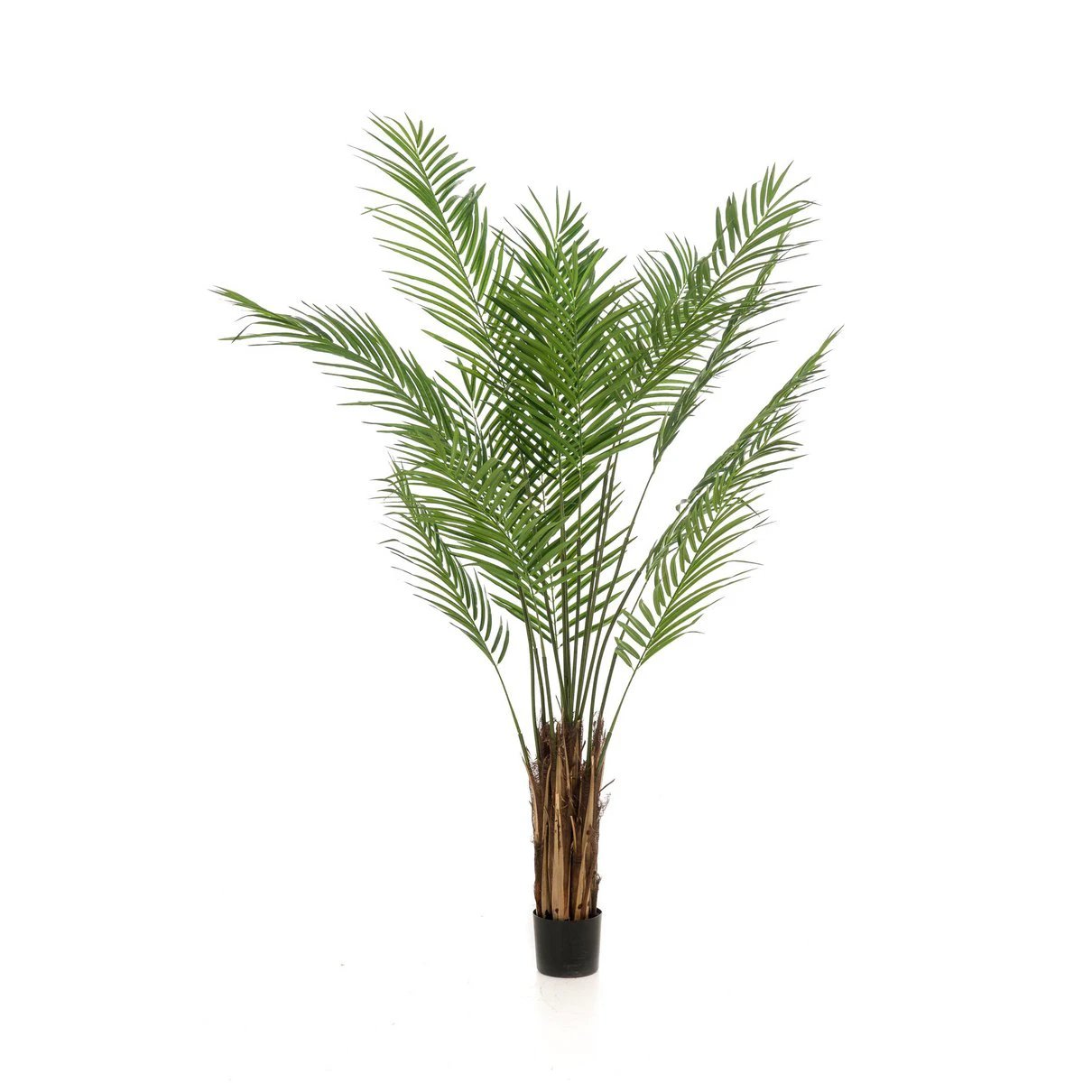 Kunstpflanze – Areca lutescens – Goldpalme – 180 cm von Green boutiQ