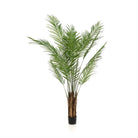 Art plant - Areca lutescens - Gold palm - 180 cm by Green boutiQ