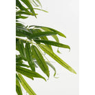 Artificial plant Green by Mica Decorations
