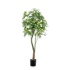 Artificial plant - Pachira Aquatica - Money tree - 180 cm by Green boutiQ