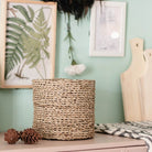 Small Seagrass Basket BHINNEKA | Plant Basket | Woven Boho Basket | Planter | Decorative Basket | Small Storage Basket | Round Flower Basket by Soeji