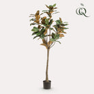 Artificial plant - Magnolia Grandiflora - 150 cm by Green boutiQ