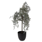 Artificial plant 30x30x60 cm Green Plastic by Clayre & Eef.