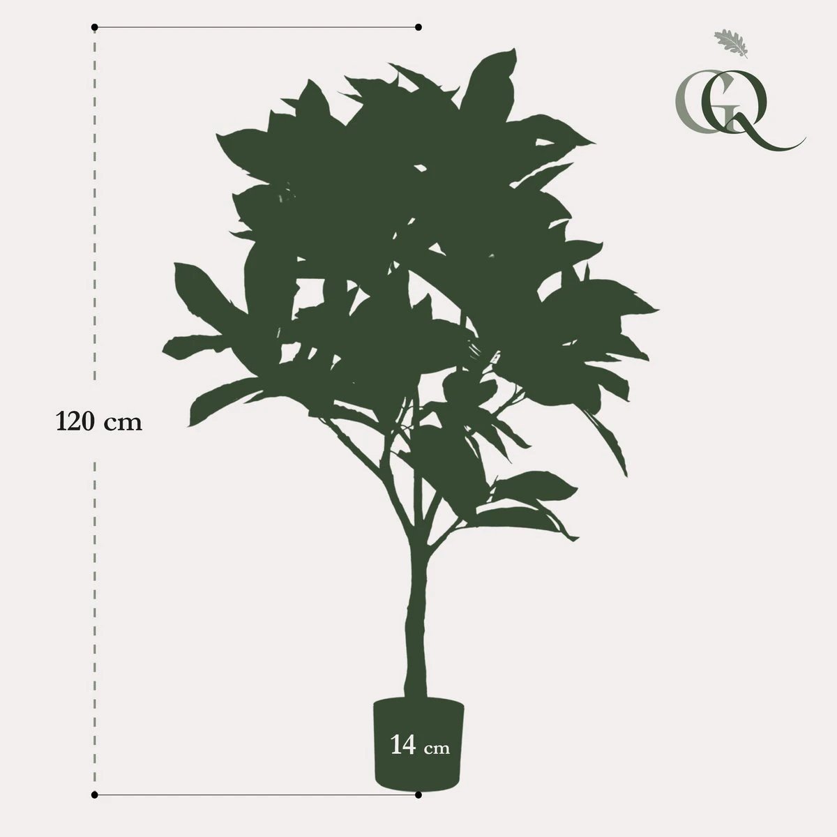 Art plant - Croton Codiaeum - Wonder bush - 120 cm by Green boutiQ