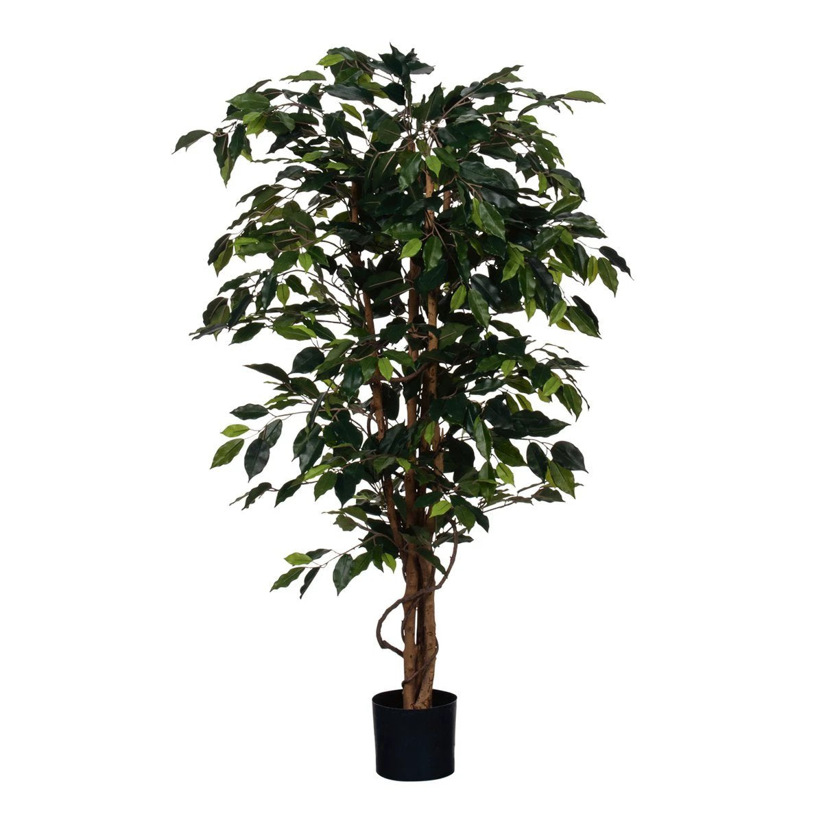 Artificial plant Ficus Green by Mica Decorations