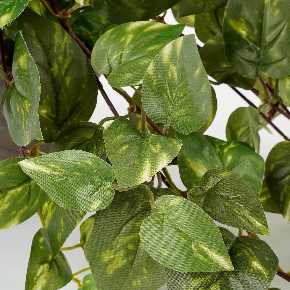 Artificial hanging plant Scindapsus hanging Green by Mica Decorations