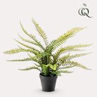 Kunstpflanze – Nephrolepis exaltata – Bostonfarn – 55 cm von Green boutiQ