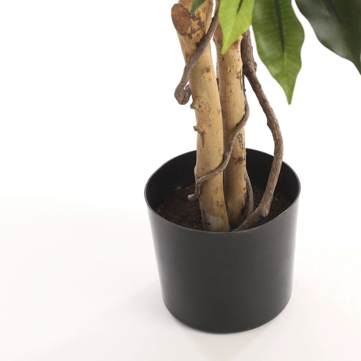 Artificial plant Ficus Green by Mica Decorations