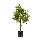 Art plant - Citrus Limonia - Citroenboom - 75 cm by Green boutiQ