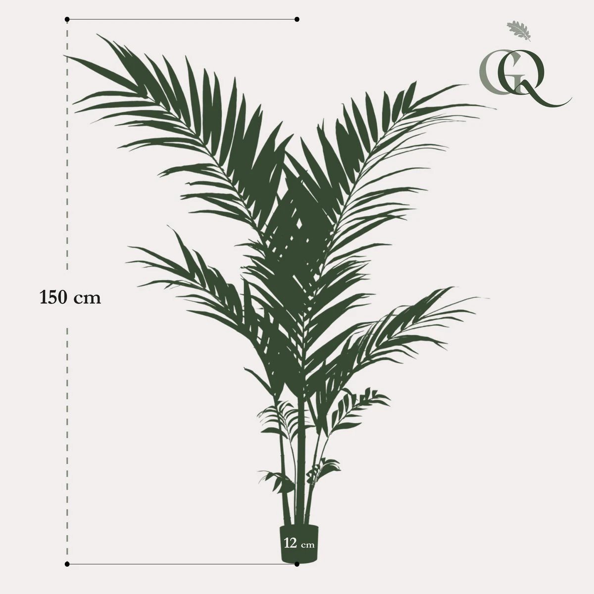 Art plant - Kentia -Kentiapalm - 150cm by Green boutiQ