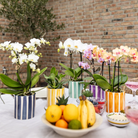 Kolibri Orchids | witte phalaenopsis orchidee Lausanne + Painted Stripe sierpot turquoise - potmaat Ø9cm | bloeiende kamerplant - vers van de kweker by Kolibri Company