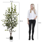 Artificial plant Green by Mica Decorations