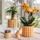 Hummingbird Home | Plant stand - White metal plant raiser Ø12cm by Kolibri Company