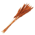 Getrocknete Blumen aus Bambus 90 cm (10) von Clayre & Eef.