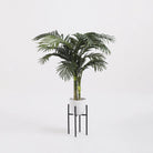Plant stand Ascot Black by Mica Decorations