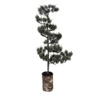 Mini Artificial Christmas Tree 28x28x80 cm / 3xAAA Green Wood by Clayre & Eef.